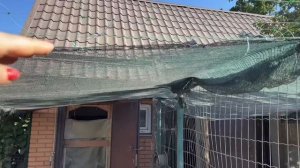 Как защитить КУР В КУРЯТНИКЕ Мой опыт