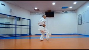 Karate - Shito Ryu - Suparinpei ???