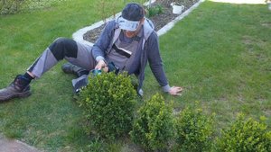 Makita 18V Akku-Grasschere DUM604 Produkttest/Vorstellung (Vergl. DUM604ZX, DUM604RFX, DUM168Z)