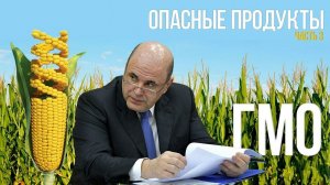 Как Россию хотят наводнить ГМО. Насколько мы беззащитны перед генно-модифицированными продуктами