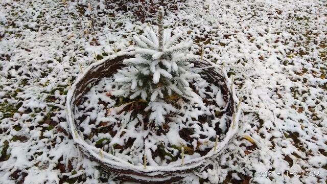Храбрый портной Братья Гримм смотреть онлайн
