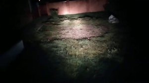 обзор Стелс гепард 650 Трофи