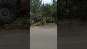 МАШИНА ДЛЯ УНИЧТОЖЕНИЯ ЛЮБОЙ РАСТИТЕЛЬНОСТИ!!! - МУЛЬЧЕР НА ИЗМЕЛЬЧЕНИИ ДРЕВЕСИНЫ И ДКР!!!