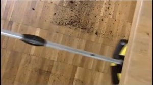 Электровеник KARCHER K 55 Plus. Демонстрация возможностей