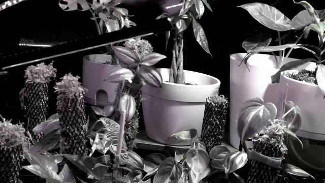 Hiswelle 4 5 Gallon Tower Humidifer 2000sqft смотреть онлайн