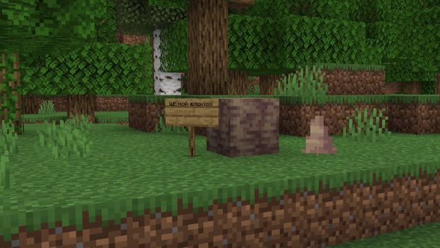 СТРАННЫЕ НАЗВАНИЯ В МАЙНКРАФТ БЕДРОК смотреть онлайн