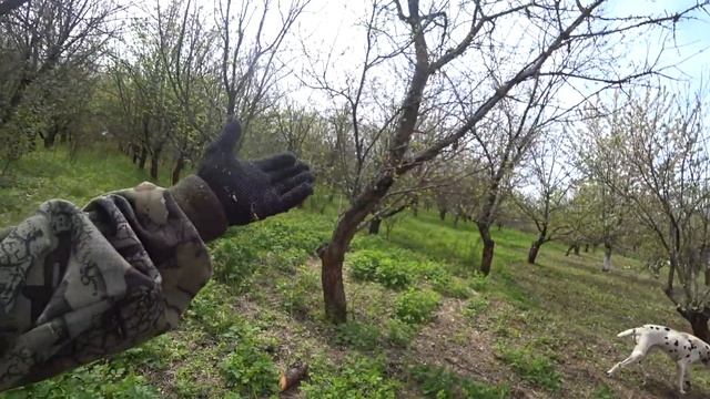 РЕАНИМИРУЮ САД/НАПИЛИЛ ДРОВ НА ЗИМУ/РАБОТА В САДУ/НАВОЖУ ПОРЯДКИ смотреть онлайн