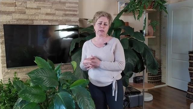 СПАТИФИЛЛУМ-КОРОЛЬ ДОМАШНИХ ЦВЕТОВ! РОЗЫГРЫШ ПРИЗОВ!