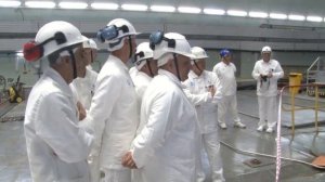 Кобальт 60 на Смоленской АЭС