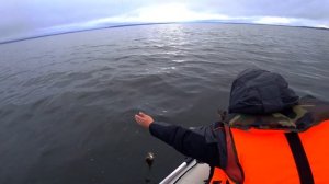 Ловля Щуки осенью/ Отводной поводок Сила.