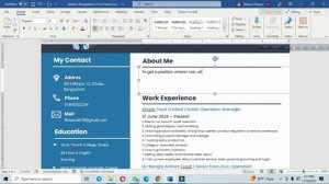 Modern CV Format Editable in MS Word