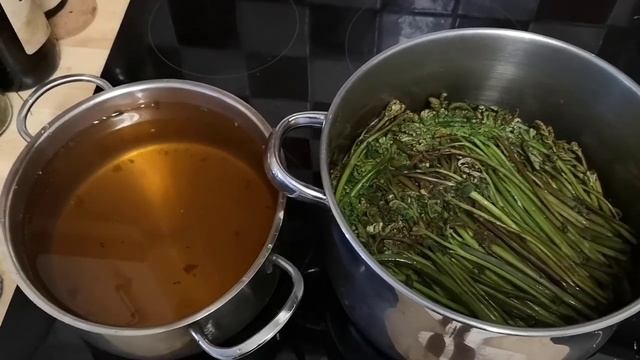 Папоротник - орляк, сбор и приготовление. Съедобные растения. Bracken fern edible.