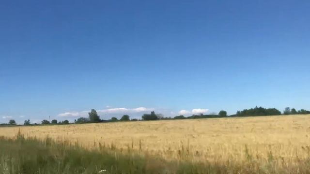 Лучшая еда для ПИКНИКА!!! Готовим с Лёней!