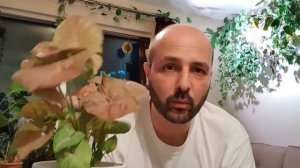 Syngonium "Red Heart"