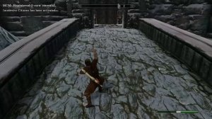 Skyrim character keeps flickering with MCO light attack