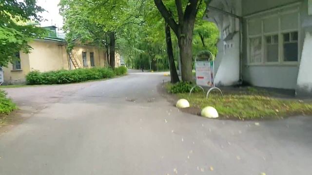 Санкт Петербург Елагин остров Белки в парке смотреть онлайн