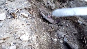 Поиск по старине без металлодетектора во Владивостоке