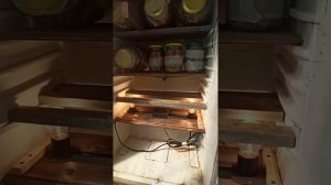 Ферментатор из холодильника своими руками за час!
