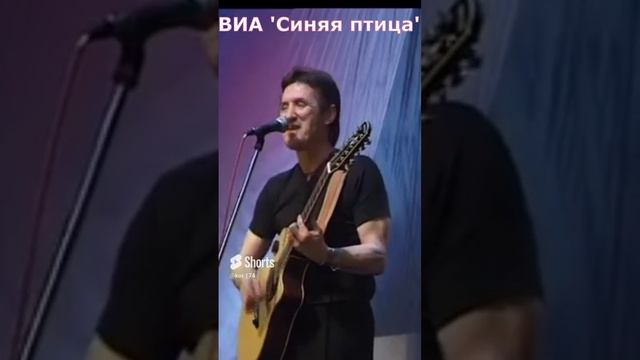 Песню клен виа синяя птица. Песню клен виа синяя птица