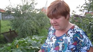 Эффективные советы по выращиванию КАБАЧКОВ.