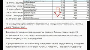 Размер Государственной помощи самозанятым в 2021 году в Санкт-Петербурге
