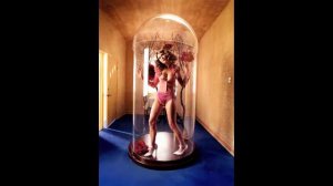 David Lachapelle