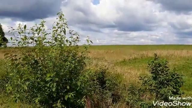 Черная Соль. Как готовить и использовать.