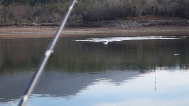 Автопилот "KARPFISHER"  на Карповый кораблик .Часть 2. Тест автопилота на воде.