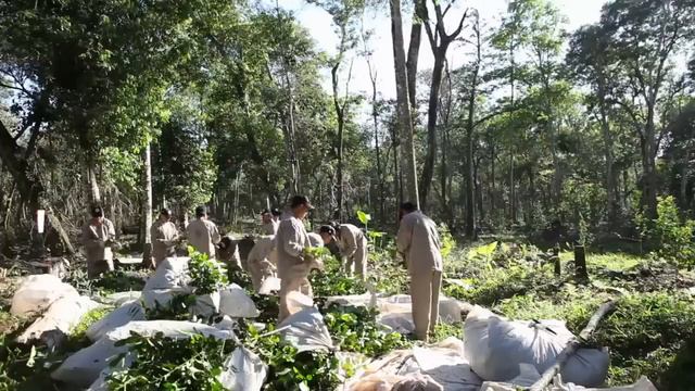 Йерба мате смотреть онлайн
