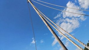 Плывём по реке Сула на драккаре, древний корабль викингов