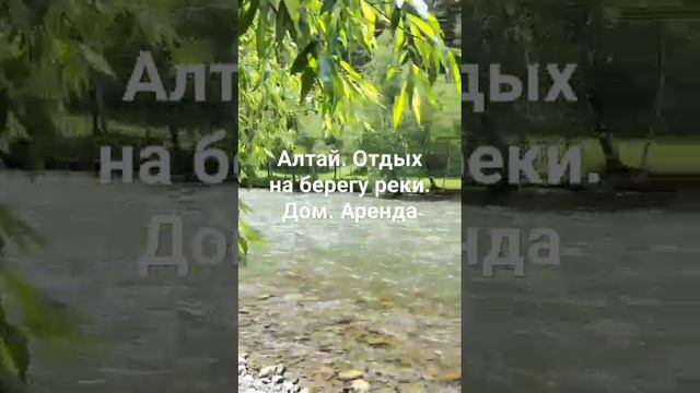 Дом на берегу реки. Алтай. Чемал-Эрлагол. Отдых #отдых #алтай #суточно #чемал