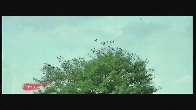 Реклама МТС: Тариф Smart БЕЗЛИМИТИЩЕ смотреть онлайн