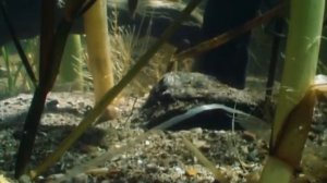 Каспийское море