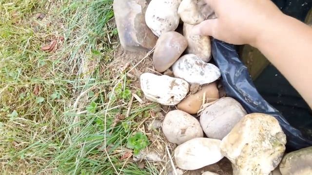 ВЛОГ\ МАЛЕНЬКИЙ ПРУД НА ДАЧНОМ УЧАСТКЕ...A LITTLE POND AT THE COTTAGE SITE. смотреть онлайн