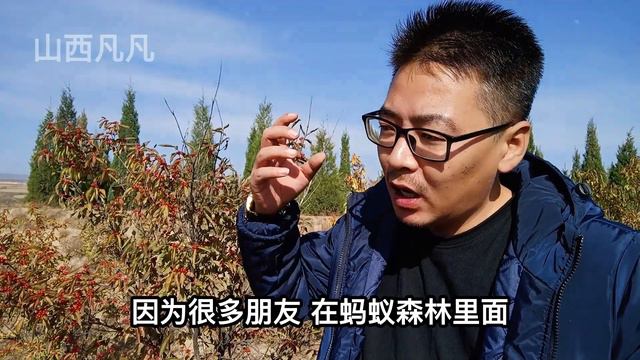 10年山西植树造林！黄土高坡长满了树，大家看效果咋样？太难了！Multi-language subtitles are supported