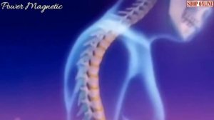 Магнитный корсет для спины Power Magnetic
