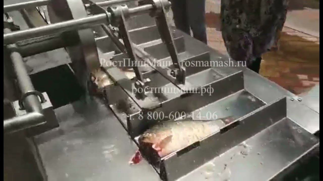 Обзор отрезание головы (хвоста) у рыб на Машине FC-1 от РостПищМаш смотреть онлайн