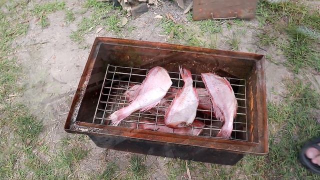 Жизнь на даче, вкусные выходные, приготовили копчёного морского окуня смотреть онлайн