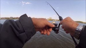 Мормышинг с Hearty Rise Rock n Forse 692XUL