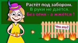 Викторина Умные ребята 26 03 2021