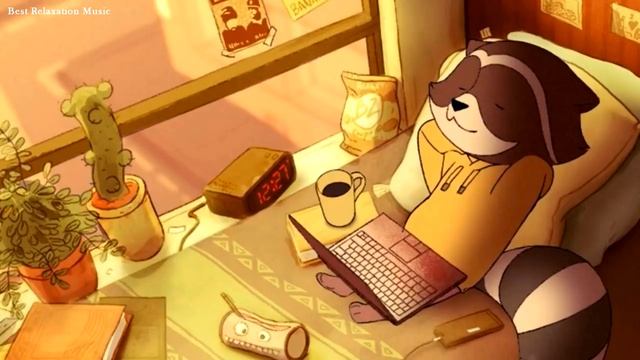 Музыка для учебы, работы, релаксации и концентрации Енот / Music for study, work, relaxation raccoo