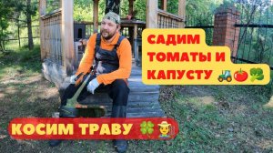 Посадка помидор и капусты. Косим траву