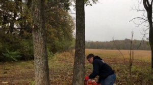 ECHO CS600P Chainsaw - Getting a 30’ Header In
