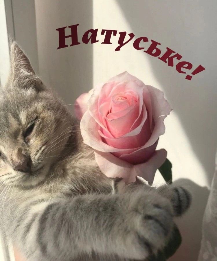 Наталья, с праздником тебя! Желаю миллион цветов, улыбок, объятий и исполнения всех желаний