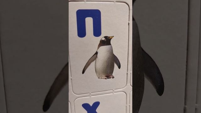 Азбука, алфавит, с картинками, ребёнок называет буквы и предметы на эту букву. ABC, alphabet смотреть онлайн