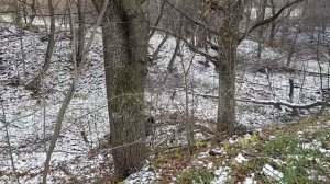 Стелс 300 в гору