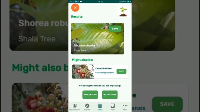 PlantSnap identifies a Shala Tree (Shorea robusta) смотреть онлайн