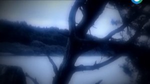 Существа из адского мира. Нечистая сила. Необъяснимые явления