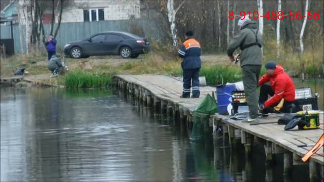 Платная рыбалка смотреть онлайн