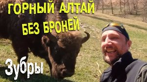 Алтай без броней - дорога домой | Чибитские водопады | Дорога на Инегень | Зубровый питомник